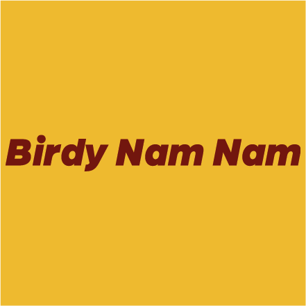 Birdy Nam Nam