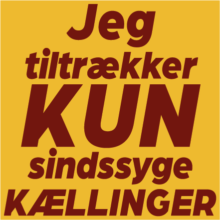 Jeg tiltrækker kun sindsyge kællinger