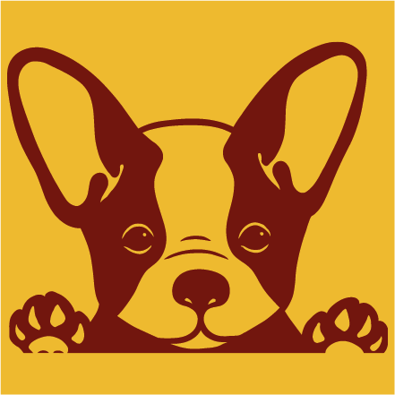 Lille hund på kantet