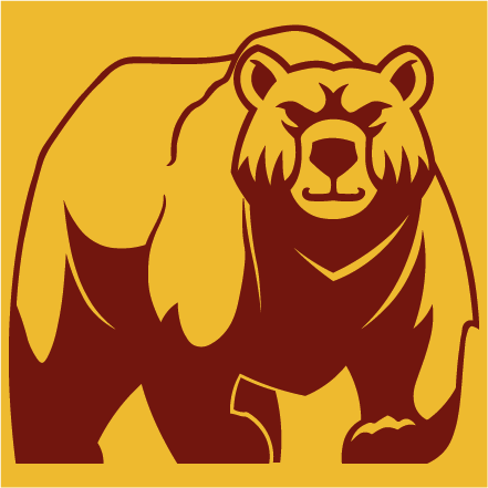 Bear - bjørn