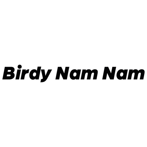 Birdy Nam Nam