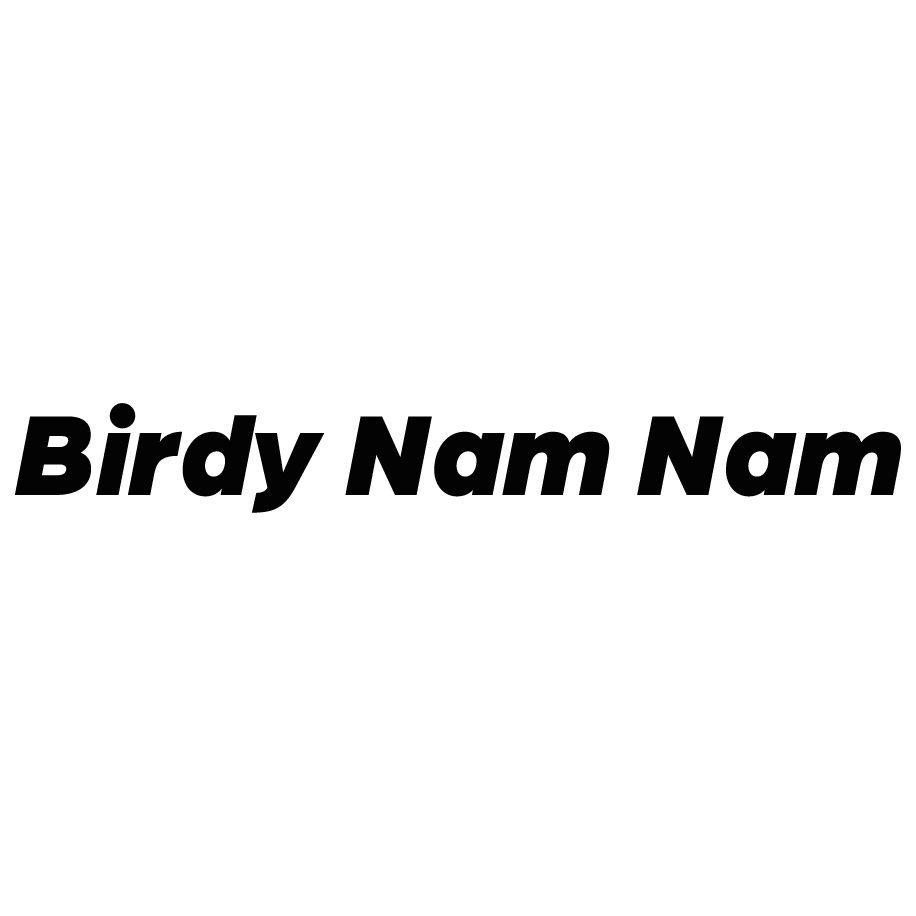 Birdy Nam Nam
