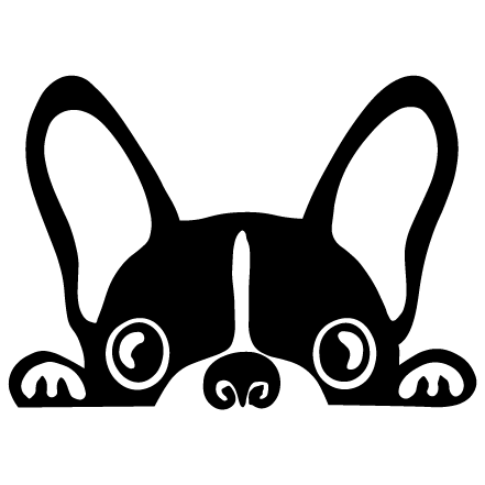 Fransk bulldog