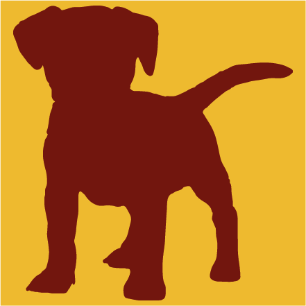 Dog - hund