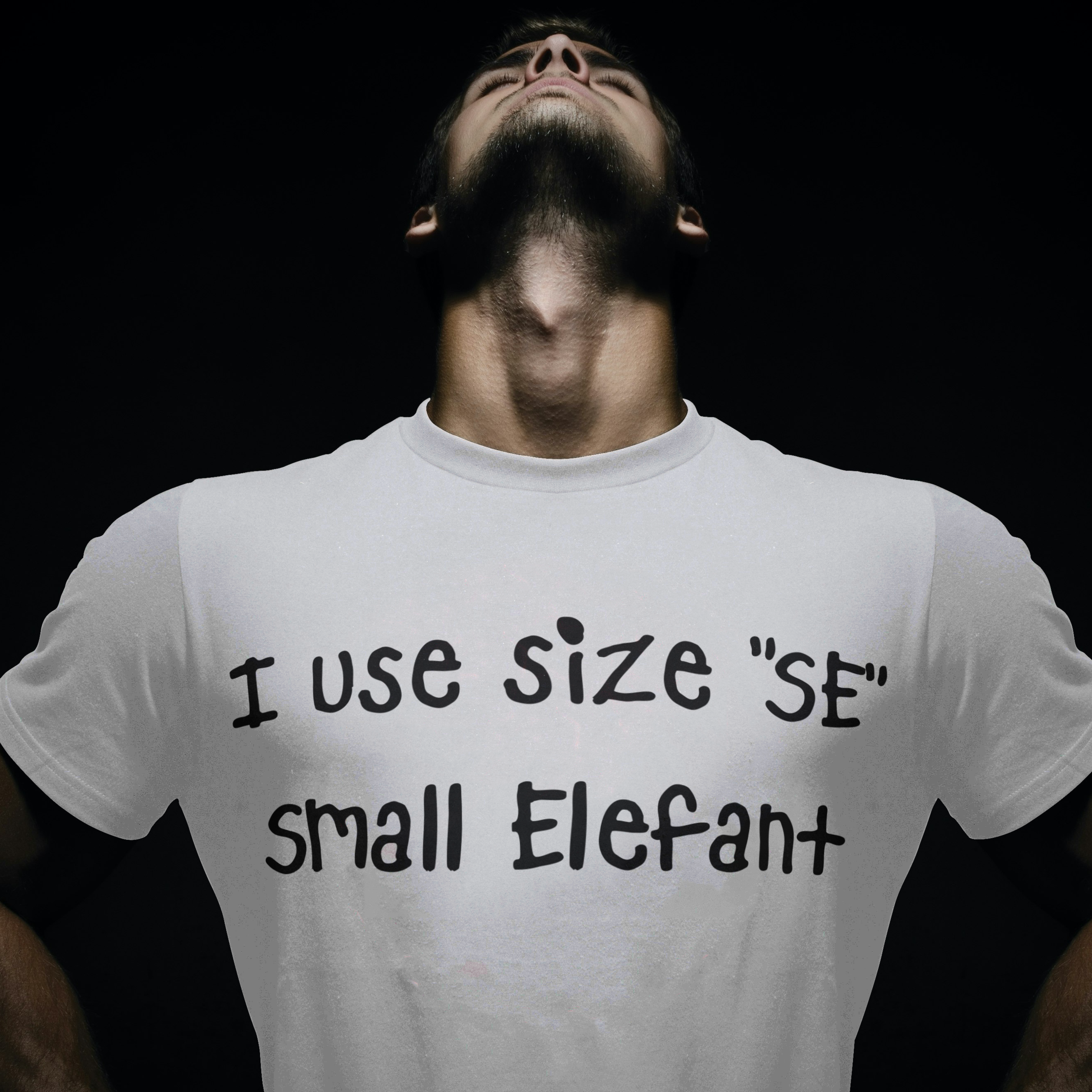 I use "SE" - Small Elefant