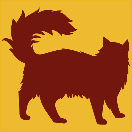 Cat - kat
