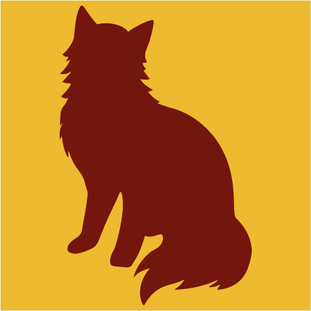 Cat - kat