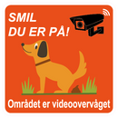 Smil du er på!